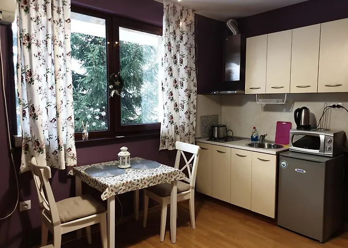 Elegance * 班斯科